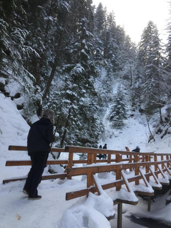 Рукавичка Yaremche Bagian luar foto